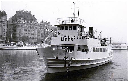 Linné i Nybroviken 1989-04-26