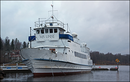 Linné i Älmsta, Väddö 2009-11-20