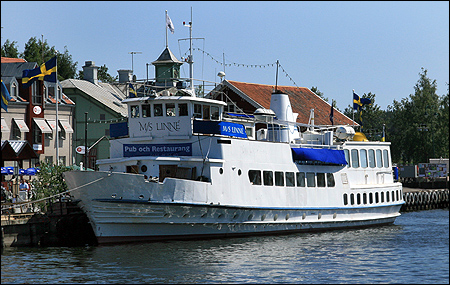 Linné i Nyköping 2008-06-07
