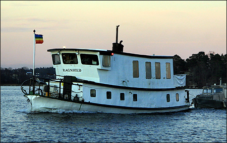 Ragnhild utanf�r Fj�derholmarna, Stockholm 2007-11-17