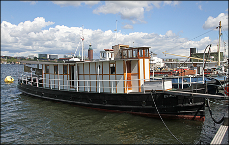 Ekoln vid S�der M�larstrand 2015-06-27