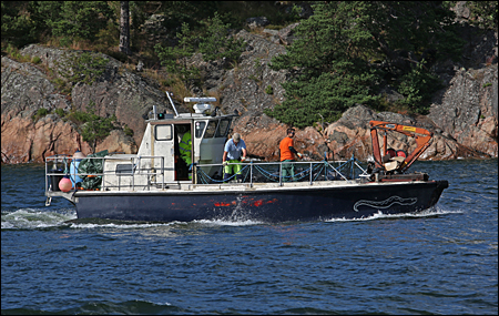 Ormen i Lindalssundet, Värmdö 2015-07-26