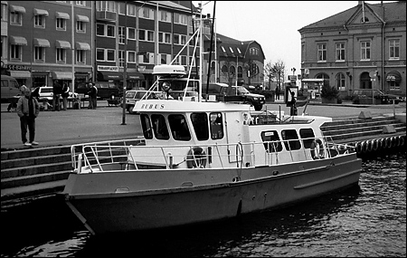 Rubus i Strömstad 1992-09-26