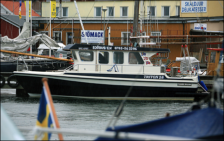 Rulle i Fj�llbacka 2007-07-14