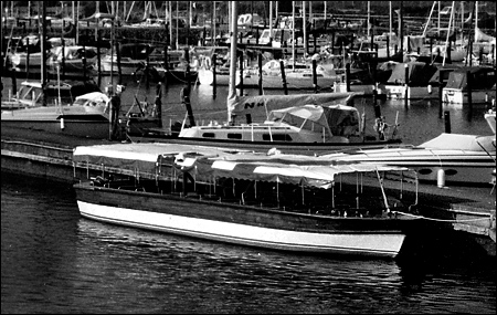 Laxen i Skälderviken, Ängelholm 1997-06-28