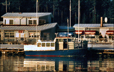 Kyana i Stavsnäs 1995-12-31