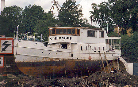 Stjernorp på Beckholmen, Stockholm 1996-07-15