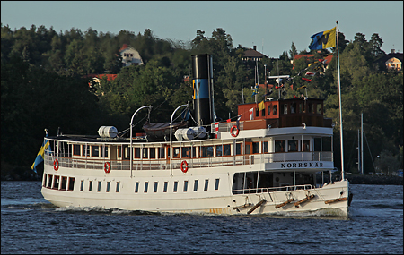 Norrskär vid Högudden, Lidingö 2010-08-28