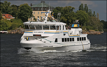 Saxaren vid Waldemarsudde, Stockholm 2024-08-03