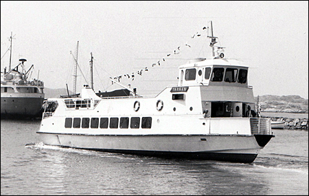 Silvertärnan vid Donsö 1976-06-26