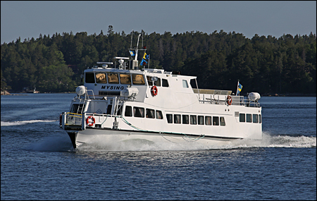 Mysing vid Puttisholmen, Vrmd 2023-06-13