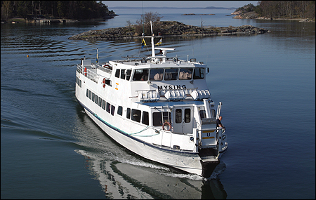 Mysing vid Spränga, Utö 2006-05-08