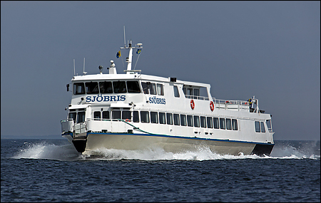 Sjöbris vid Norrskäret, Svartlögafjärden 2009-05-20
