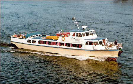 Sjögull utmed Djurgården, Stockholm 1979