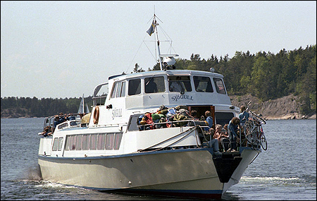 Sjögull vid Brukets brygga, Blidö 1981