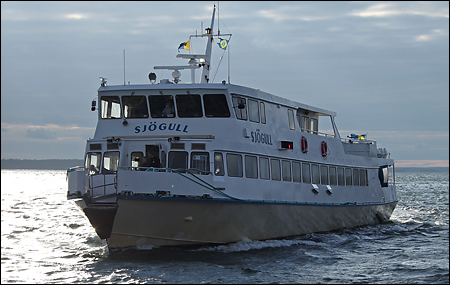 Sj�gull vid Norr�ra brygga, Norr�ra 2009-06-05