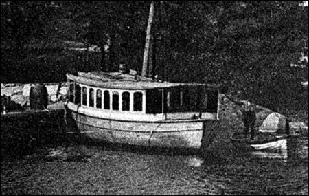 Skogsö i Saltsjöbaden 1914