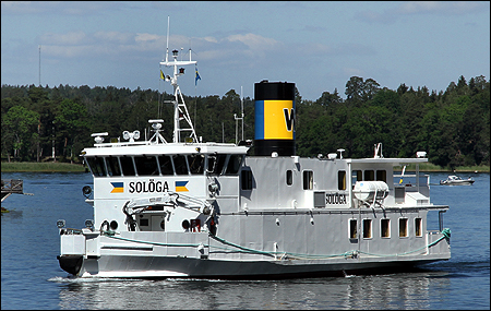 Solöga på N:a Vaxholmsfjärden, Vaxholm 2020-06-23