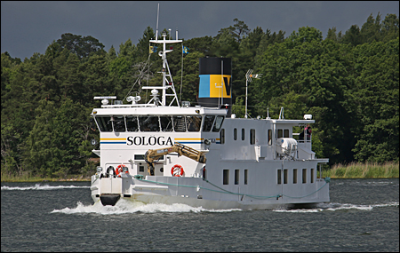 Solöga på N:a Vaxholmsfjärden, Vaxholm 2017-06-25