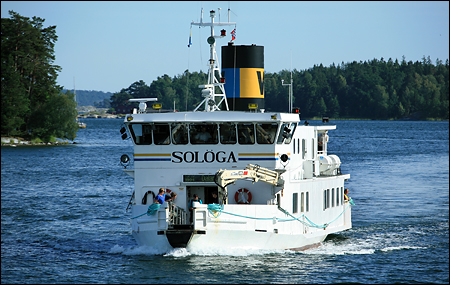 Solöga vid Ornöboda, Ornö 2008-07-22