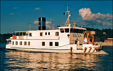 Solöga i Halvkakssundet, Lidingö 1991-07-02