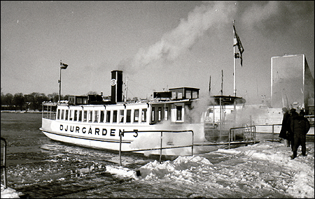 Djurgården 3 vid Allmänna Gränd 1985-12-08