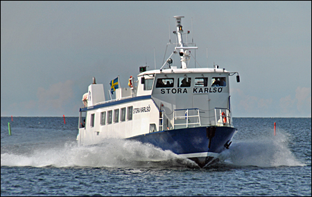 Stora Karlsö utanför Klintehamn, Gotland 2014-06-25