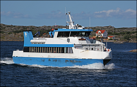 Str�mstierna vid Tvist�rten, Tuvesvik 2013-07-10