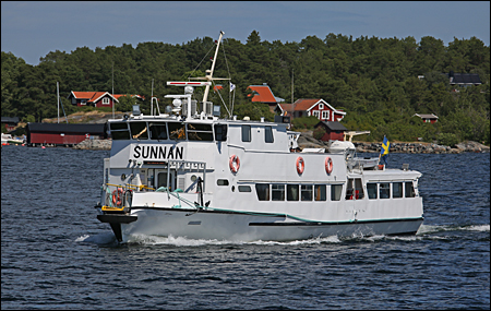 Sunnan vid Lka, Mja 2024-07-02