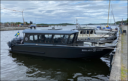 Svalan i Norrt�lje 2023-06-03