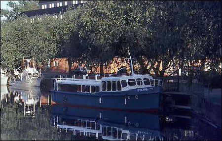 Sylvia i Örebro 1982