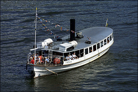 T�rnan i �rstaviken 2002-06-01