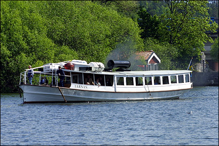 Tärnan i Fittja 2004-06-06
