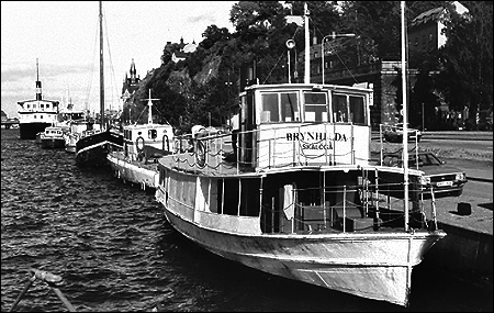 Amaranth som Brynhilda vid Söder Mälarstrand, Stockholm 1985-07-03