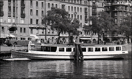 Tärnan i Nybroviken