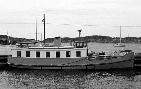 Aina i Hälleviksstrand, Orust 1977-08