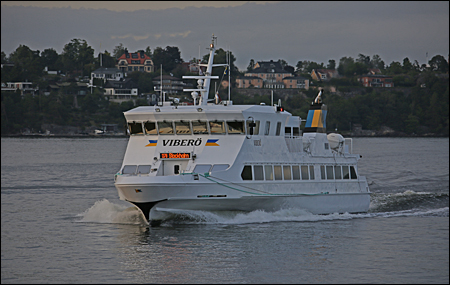 Viberö vid Fjäderholmarna, Stockholm 2024-08-04