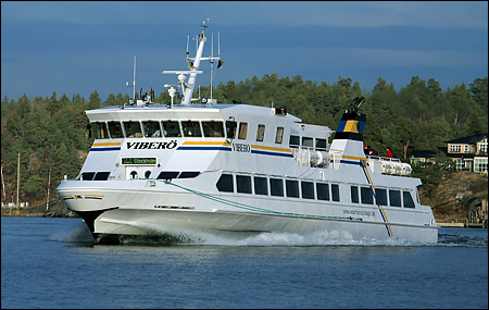 Viberö på Långholmsfjärden, Vaxholm 2007-11-17