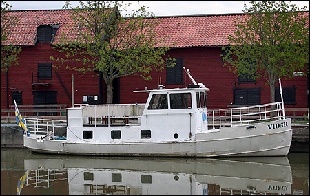 Vidar i Enköping 2008-05-03