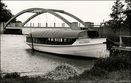 Havsrnen