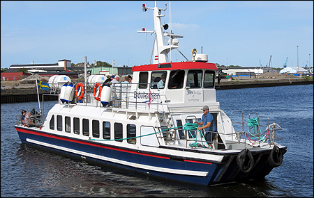 Viskär i Norrköping 2019-06-29